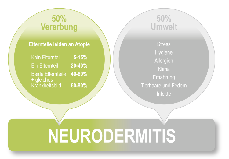 Neurodermitis_Faktoren